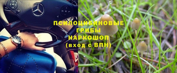 a pvp Магас