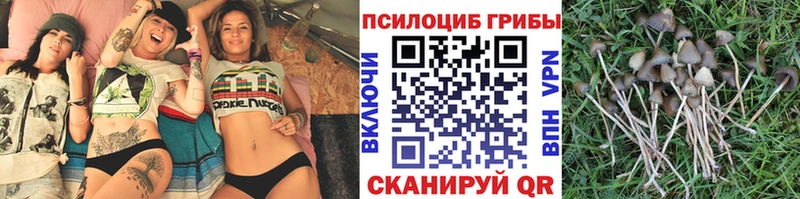 Галлюциногенные грибы ЛСД  Ува 